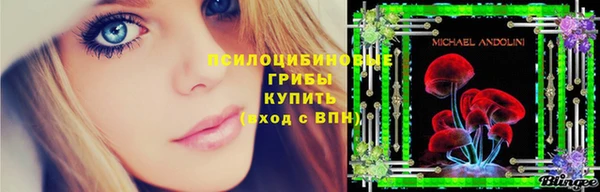 PSILOCYBIN Абдулино