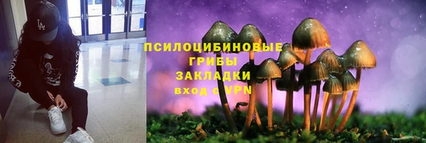 гидропоника Абинск