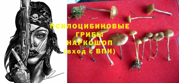крисы Алзамай