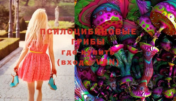 сатива Алексин