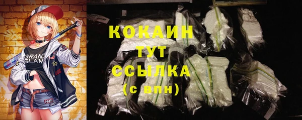 крисы Алзамай