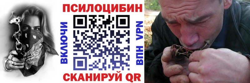 Галлюциногенные грибы MAGIC MUSHROOMS  что такое   Дятьково 